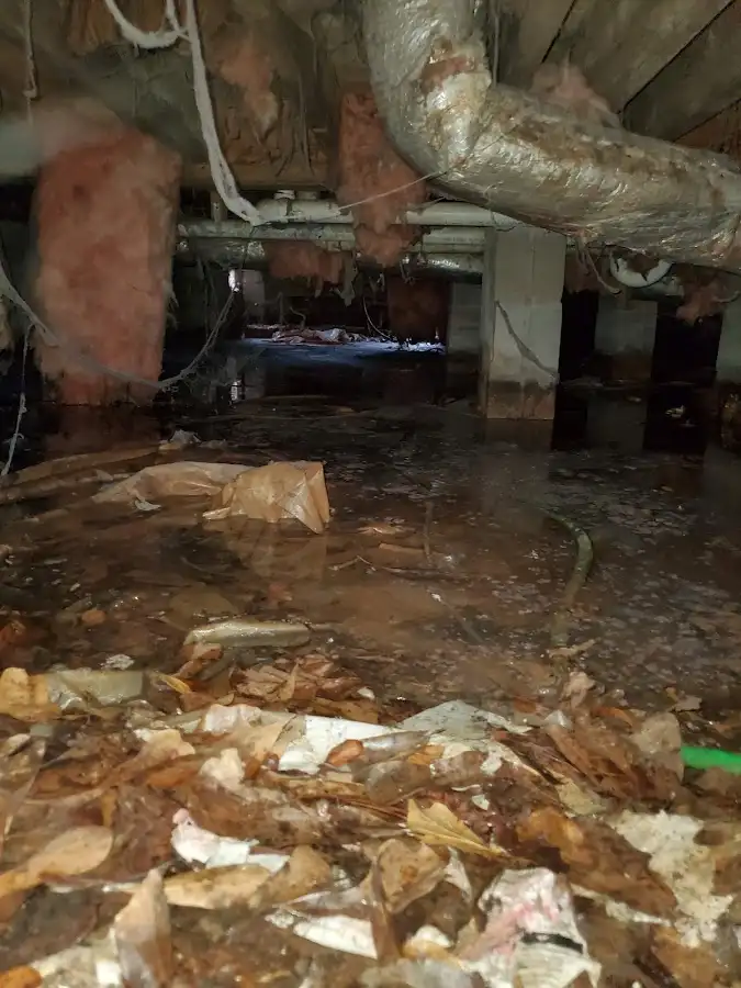 Crawl space flood assessment for Commercial Water Damage Restoration in Texas City